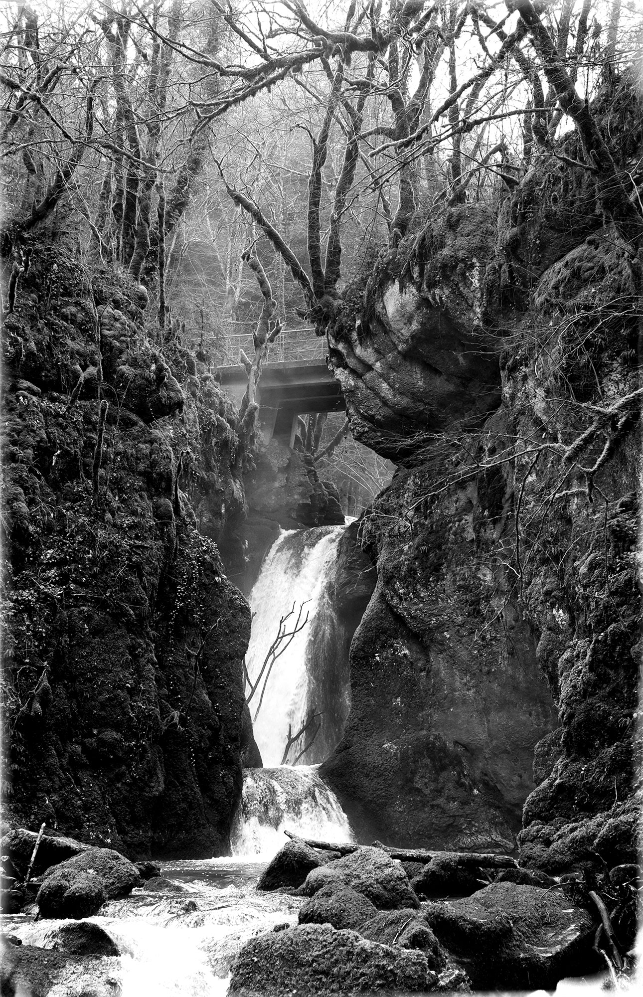 Damien Pollet, Le Gour de Conches