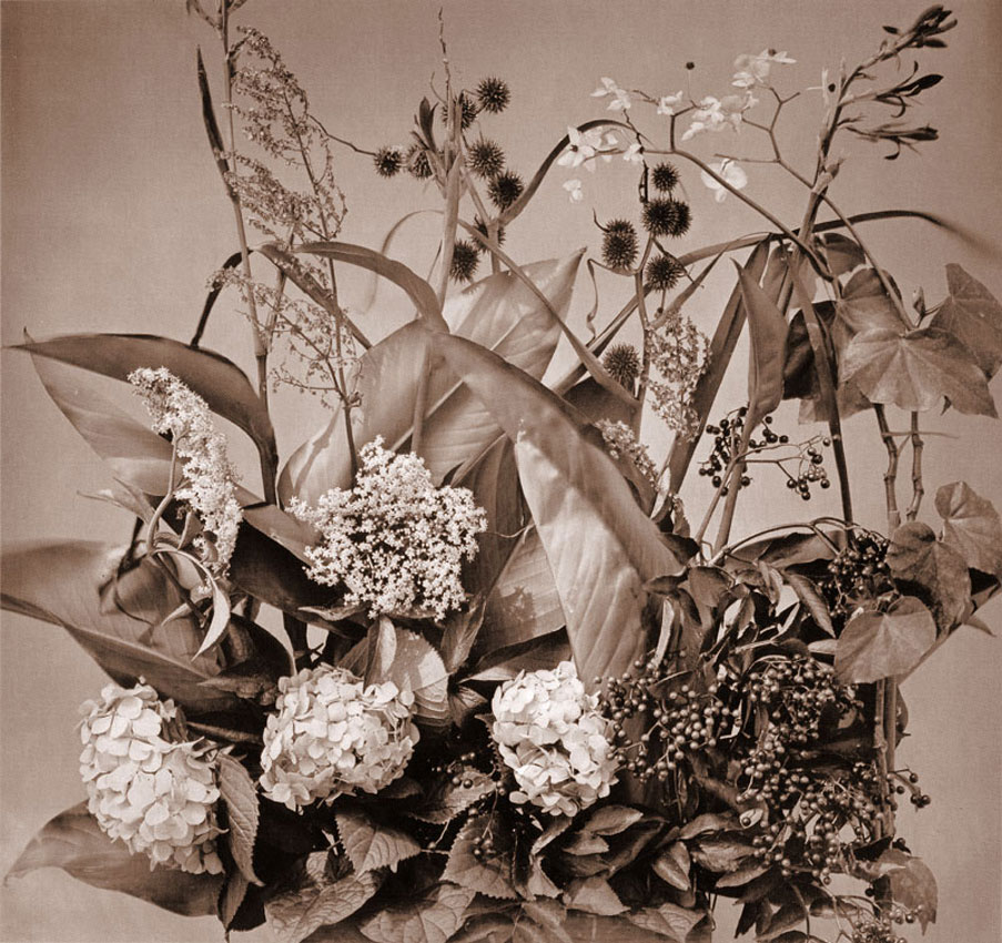 Adolphe Braun, Bouquet, c. 1855