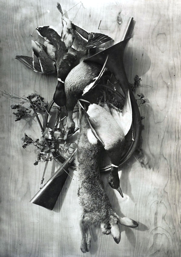 Adolphe Braun, Trophée de chasse au lièvre