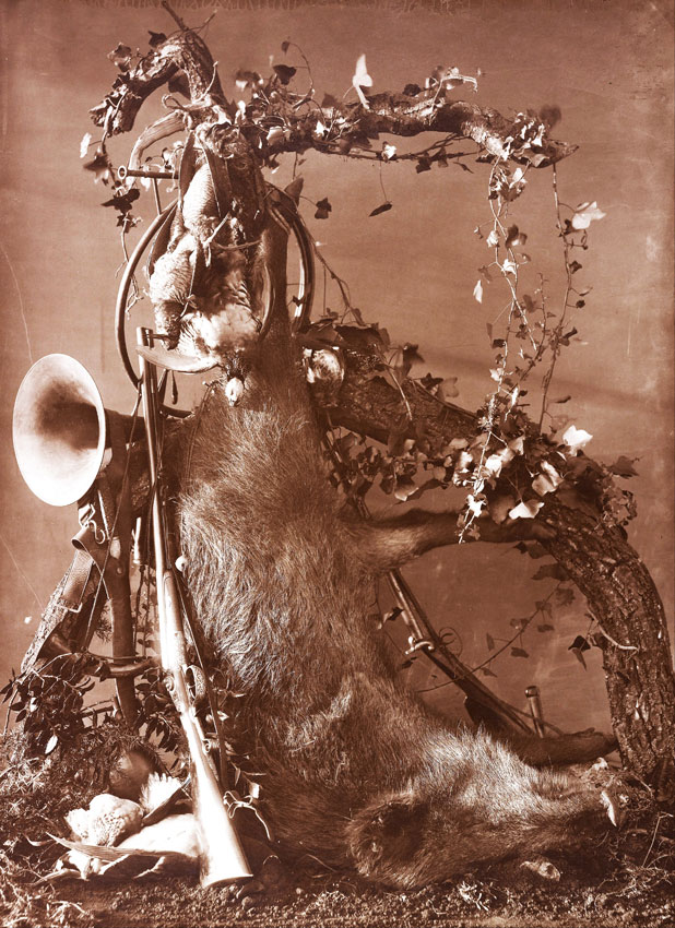 Adolphe Braun, Trophée de chasse au sanglier