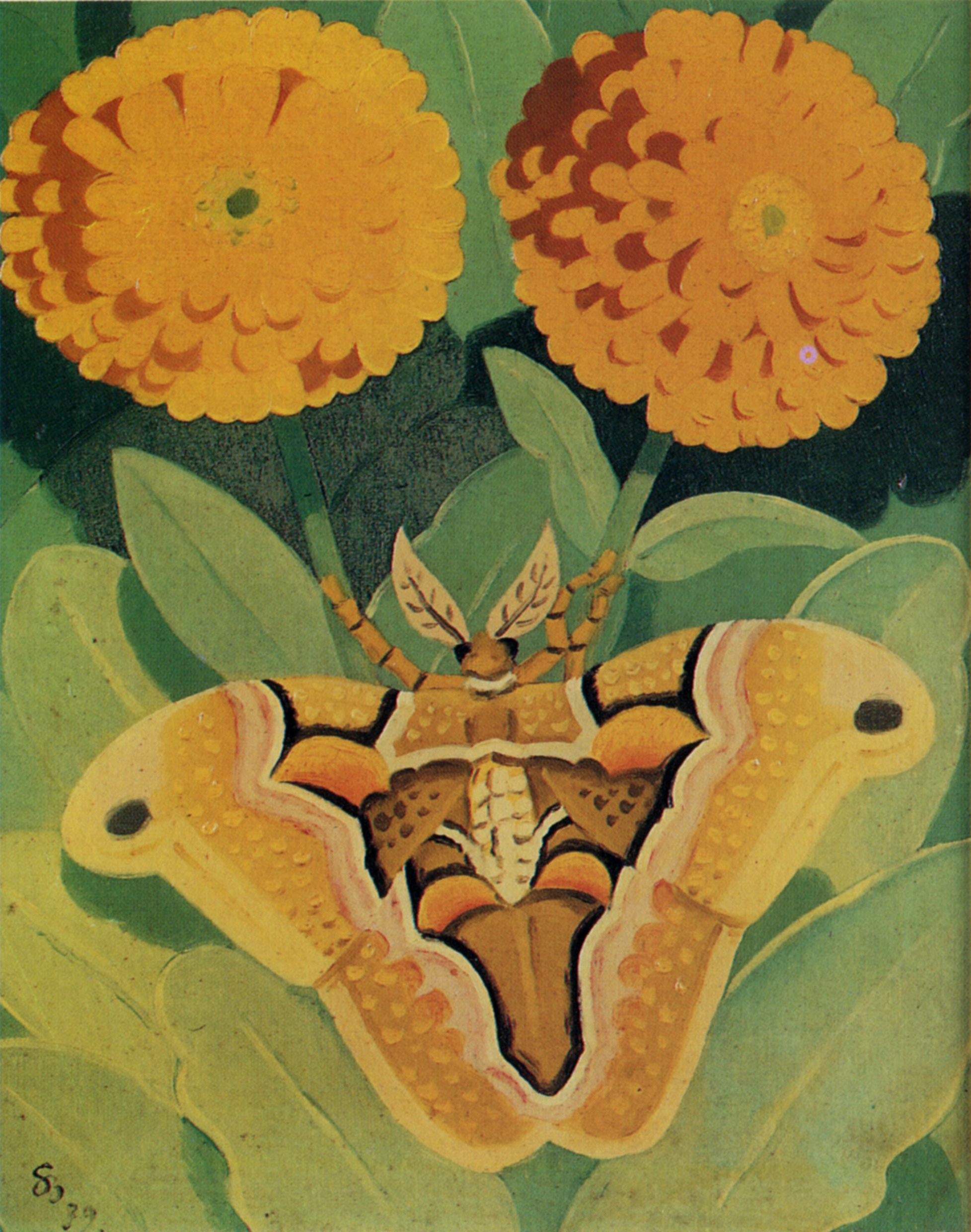 Simon Bussy, Papillon de soie ou Bombyx de l'ailante