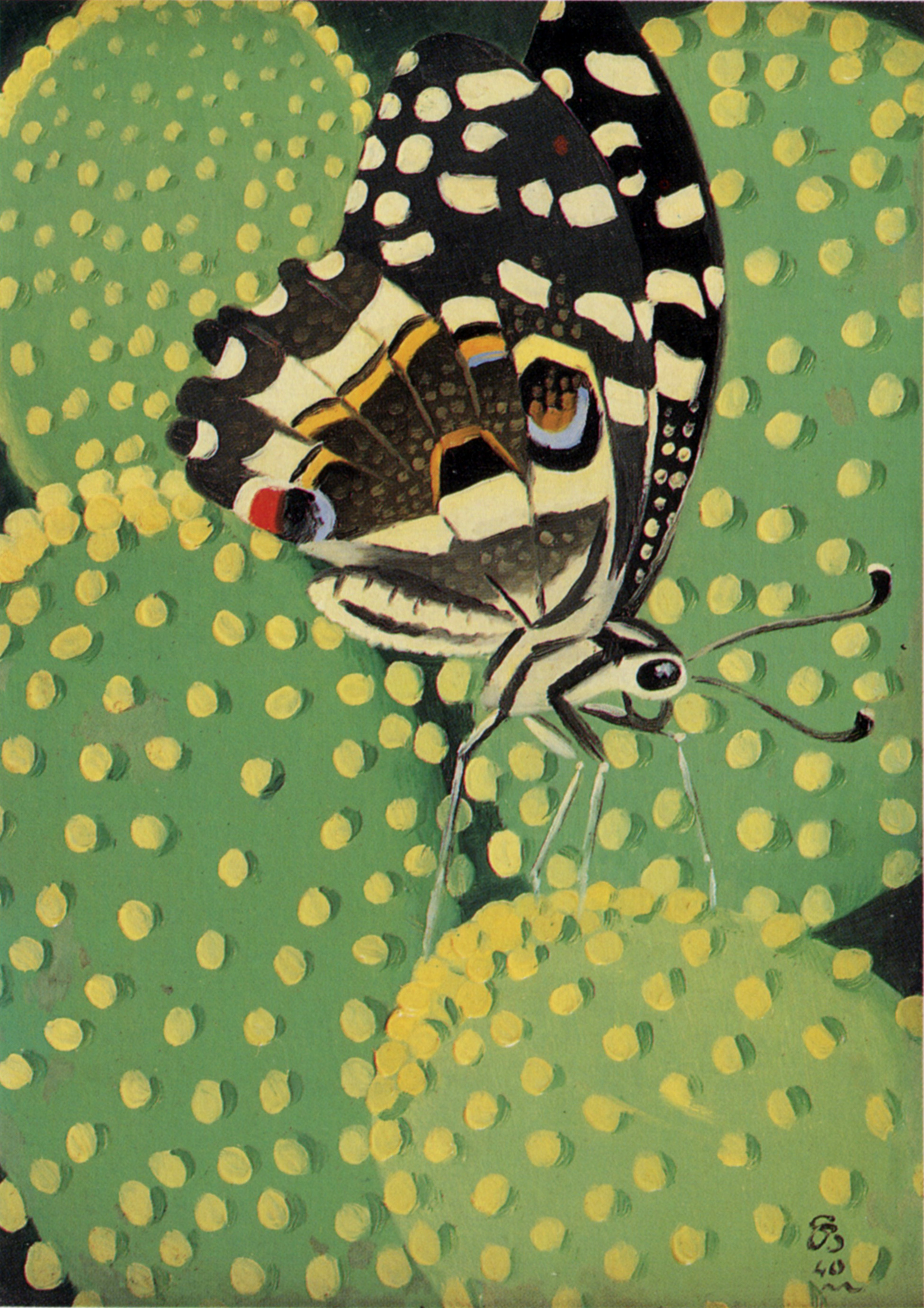 Simon Bussy, Papillon et cactus