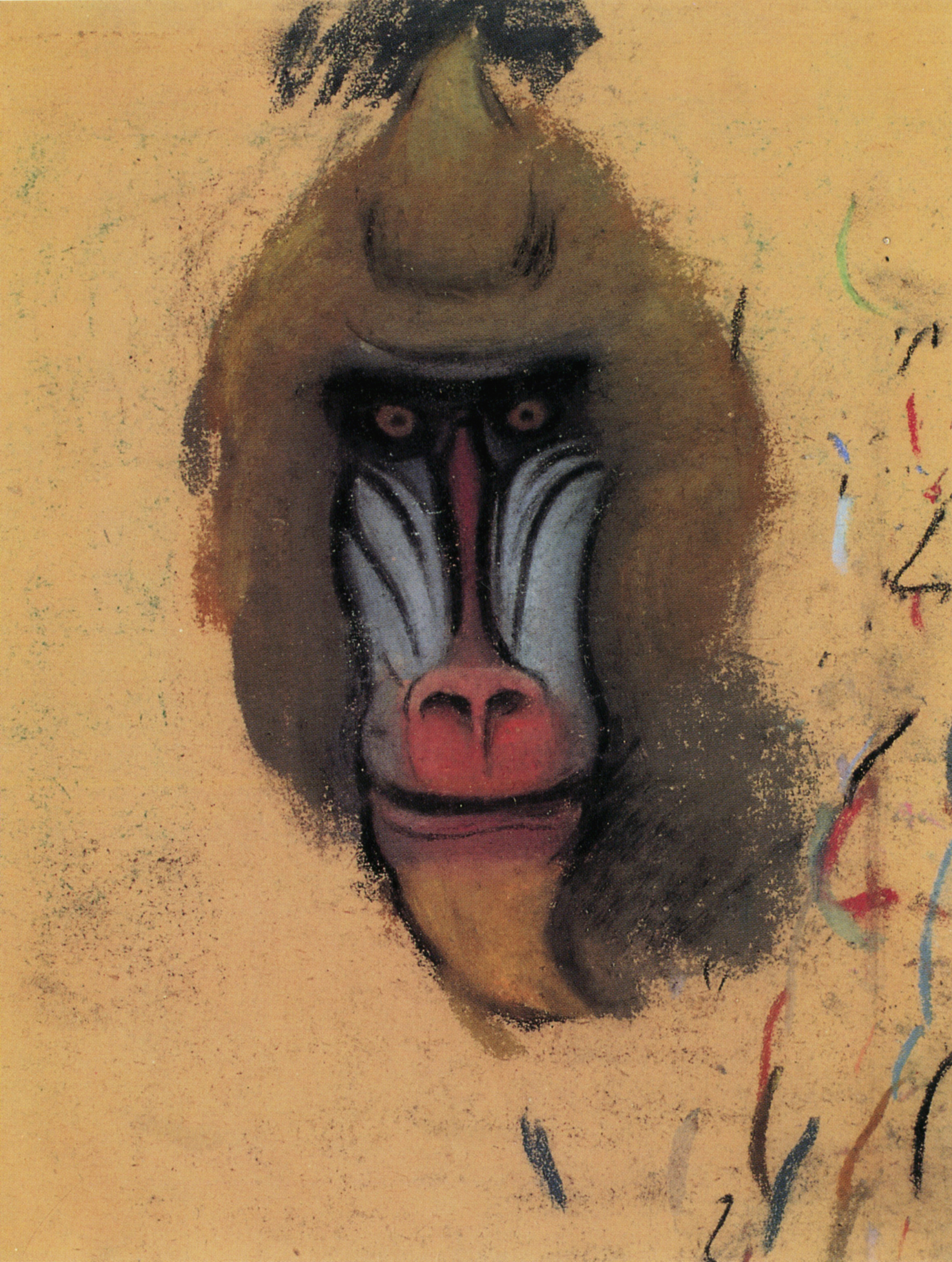 Simon Bussy, Tête de mandrill