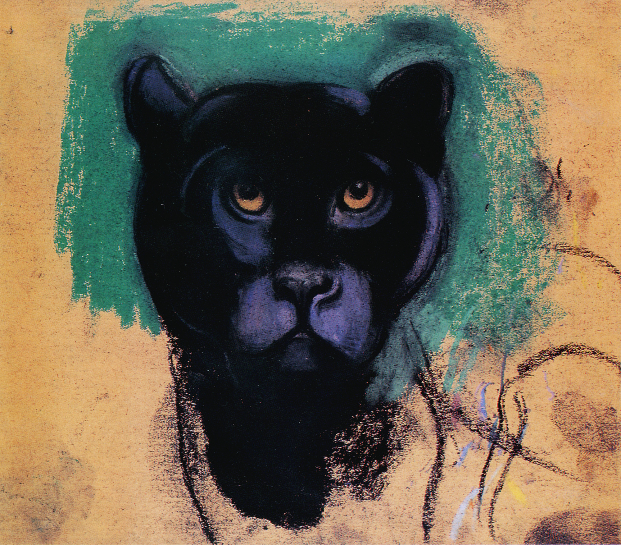 Simon Bussy, Tête de panthère noire