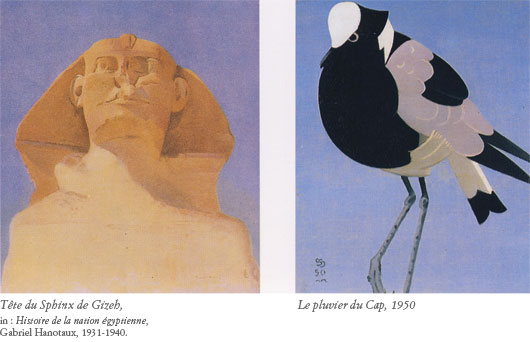 Simon Bussy, Tête de Sphinx, Pluvier du Cap