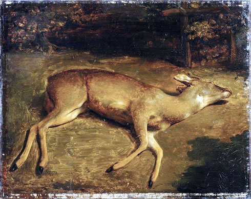 De Artibus Sequanis, Gustave courbet, Chevreuil mort