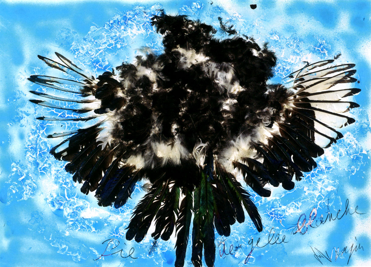 Jean Messagier, Pie de gelée blanche