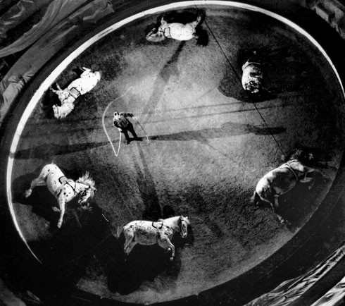 François Tuefferd, Cavalerie Strassburger, Cirque Médrano, 1942